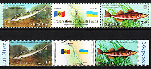 Украина, Молдова _, 2007, Рыбы Днестра, 4 марки с купоном 2 сцепки Украина, Молдова _, 2007, Рыбы Днестра, 4 марки с купоном 2 сцепки